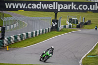 Lower Group Green Bikes